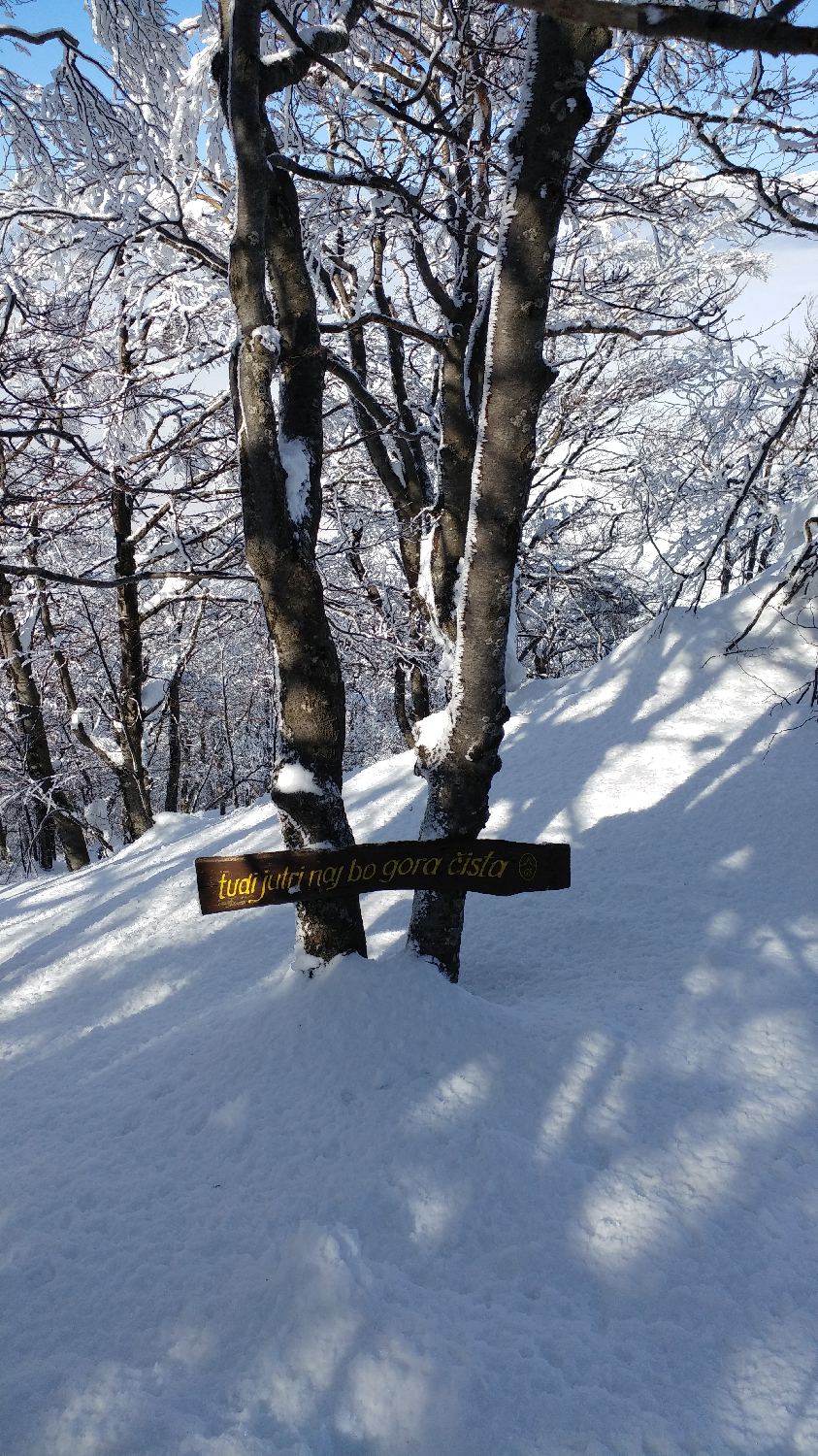 Gabrje - Mrzli vrh slika 28