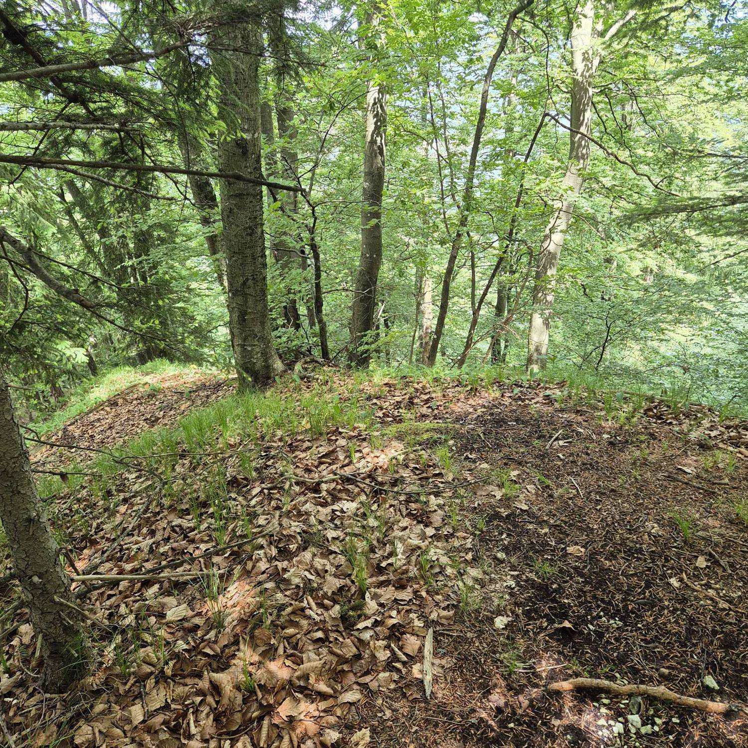 Bladovica main photo