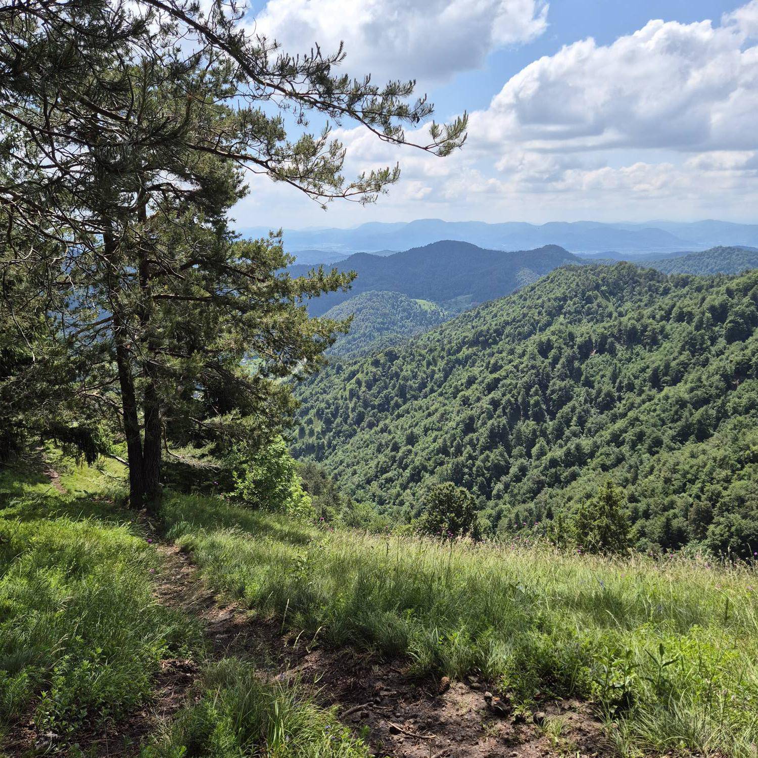 Gontarska planina main photo