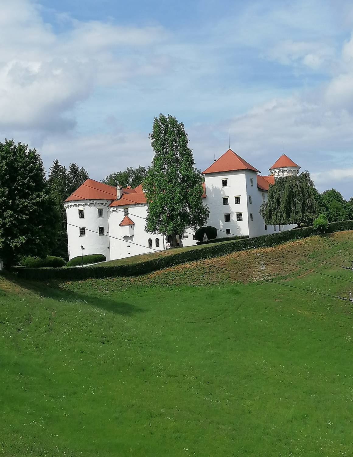 Grad Bogenšperk main photo