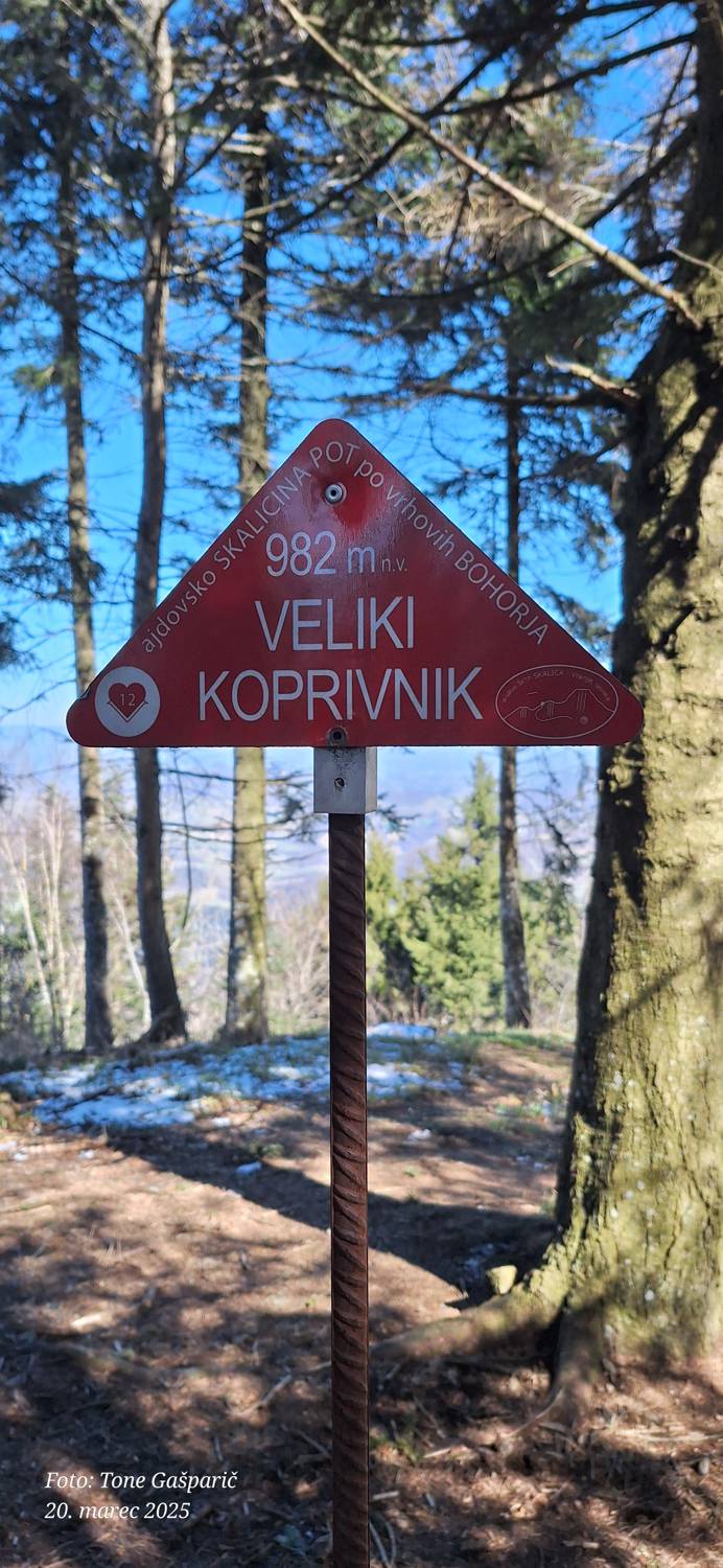 Veliki Koprivnik (Bohorje) main photo