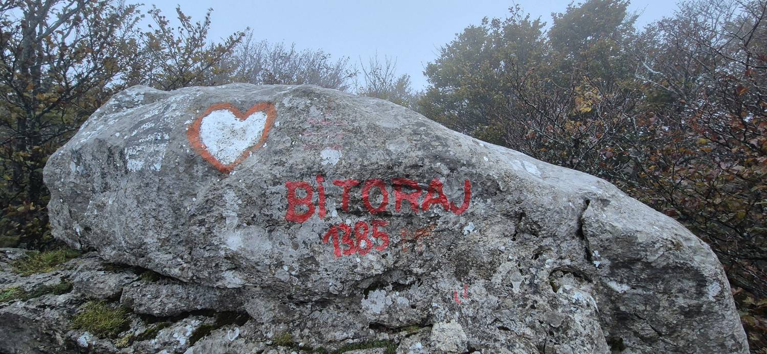 Bitoraj main photo
