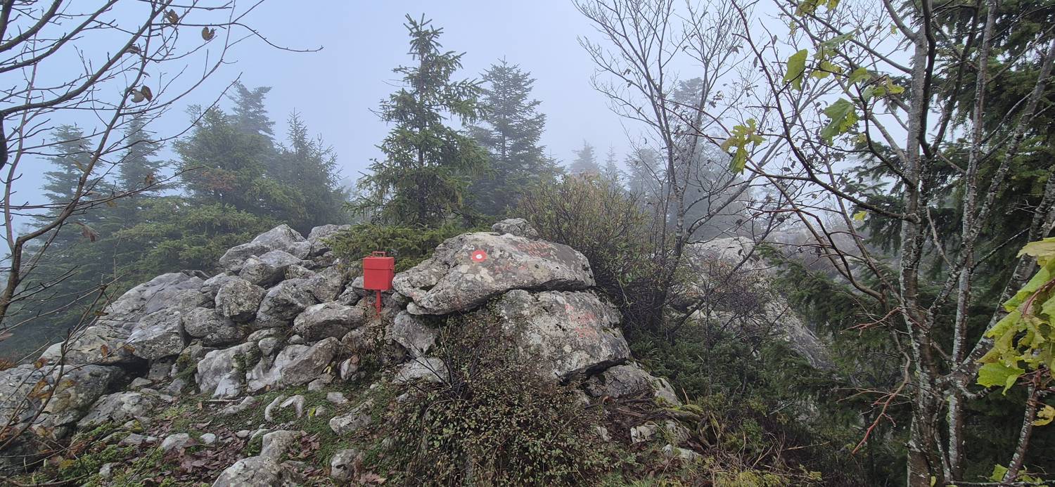 Velika Slavica main photo