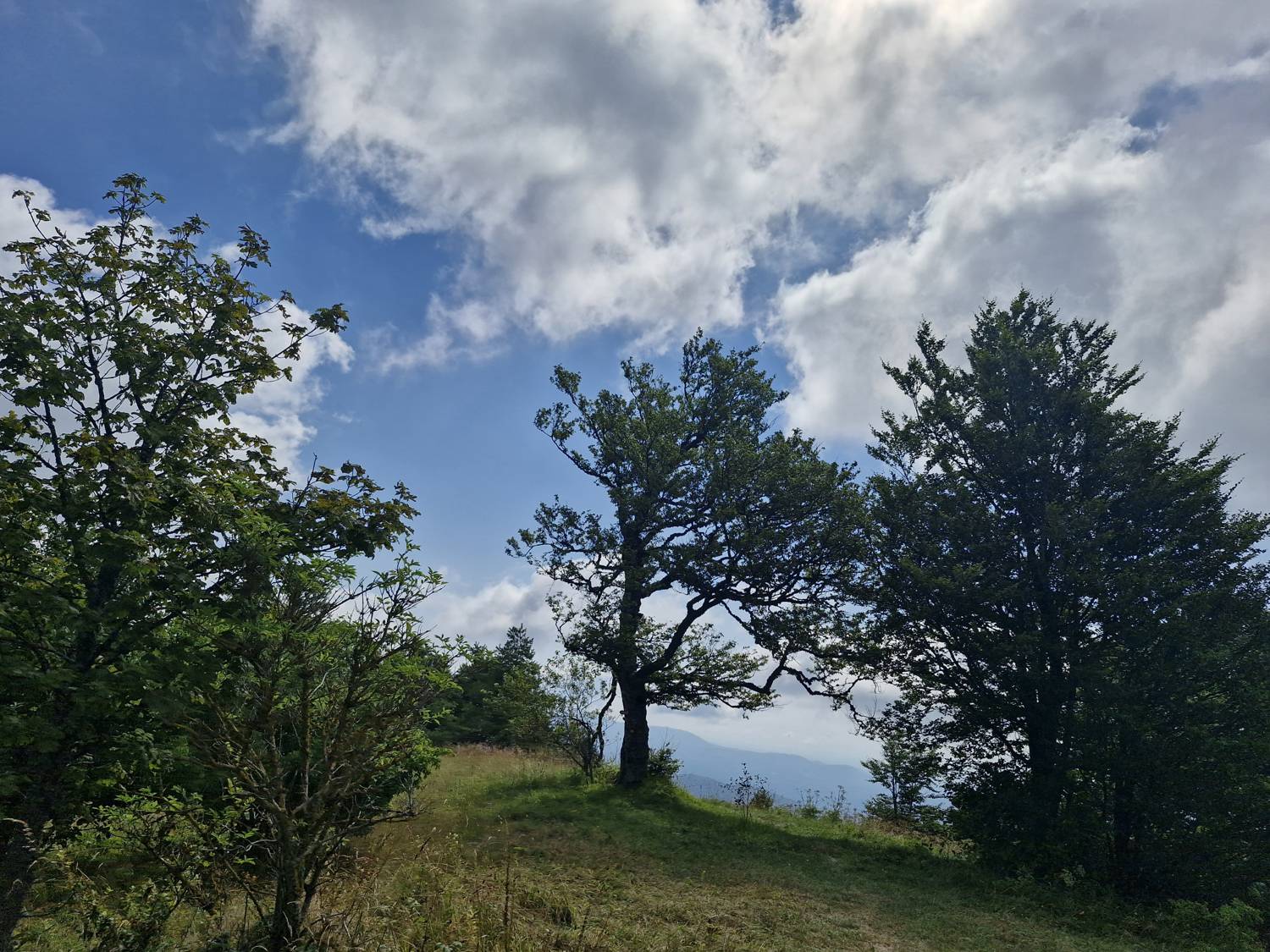 Klopčiča na Gorjancih main photo