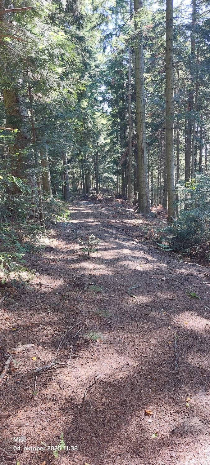 Možičev vrh main photo