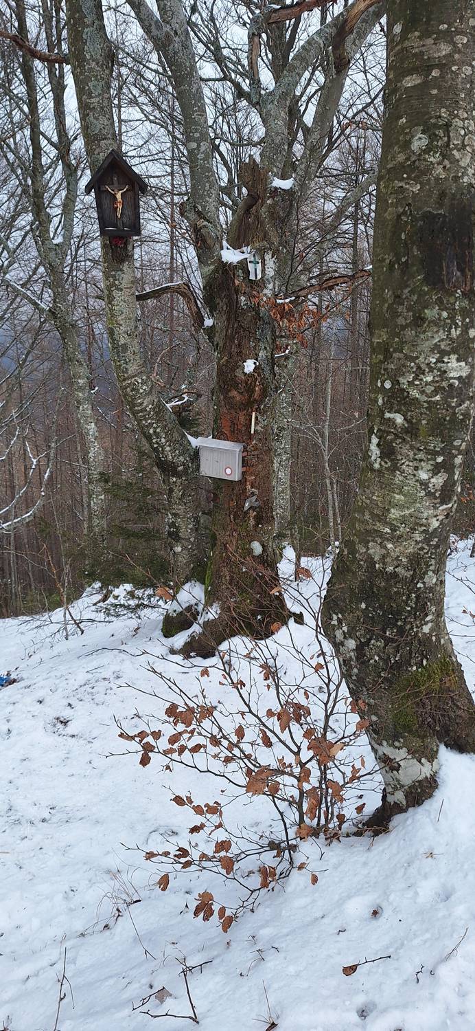 Kamniški vrh main photo
