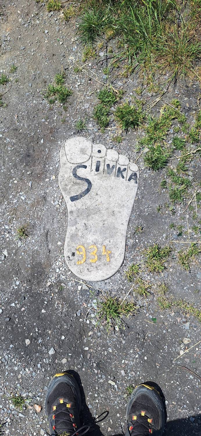 Sivka (Polhograjsko hribovje) main photo