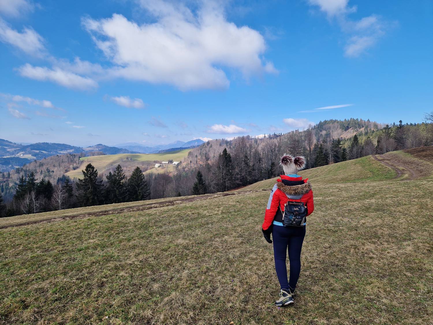Vrhovski grič main photo