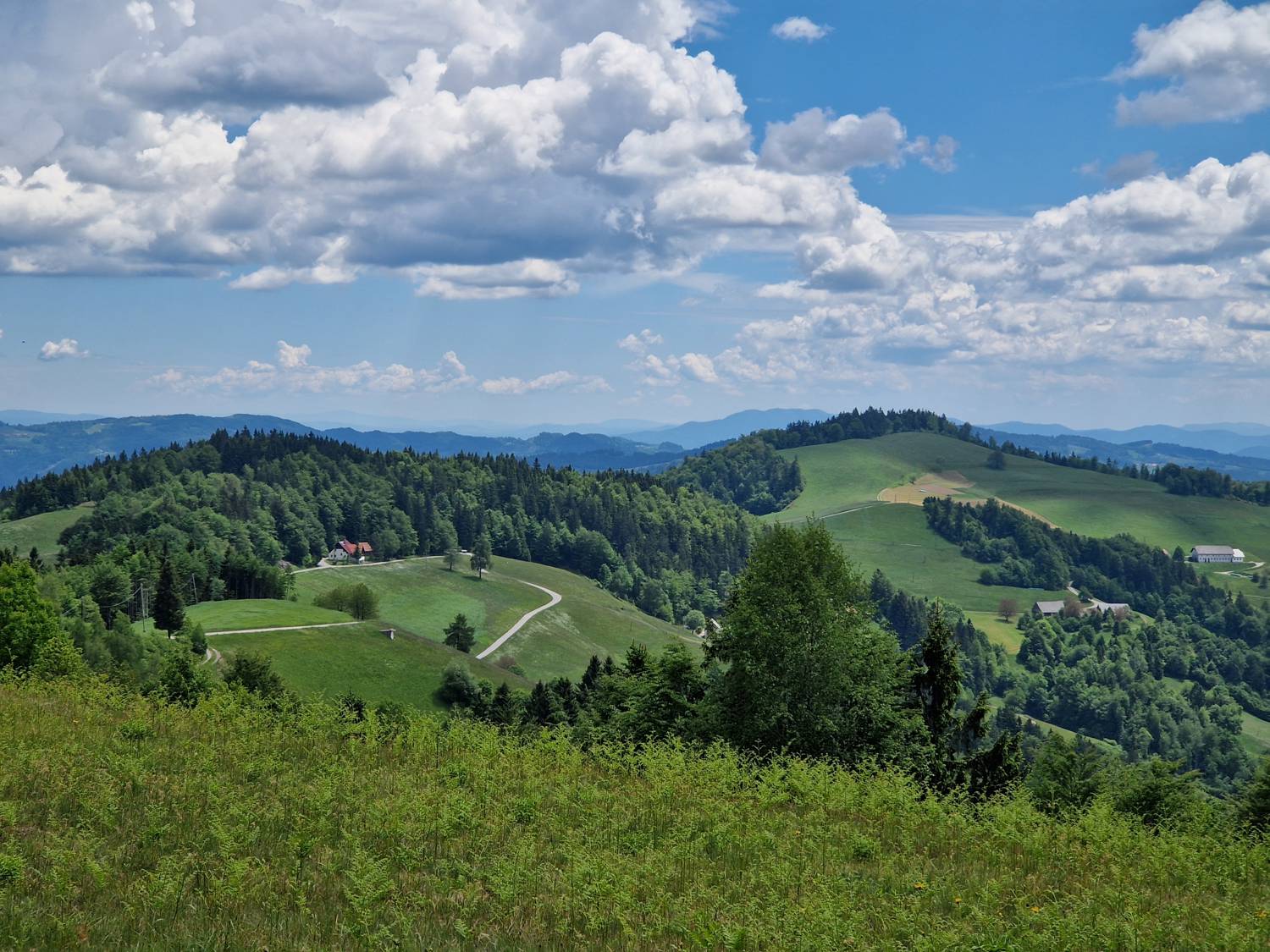 Vrhovčev grič main photo