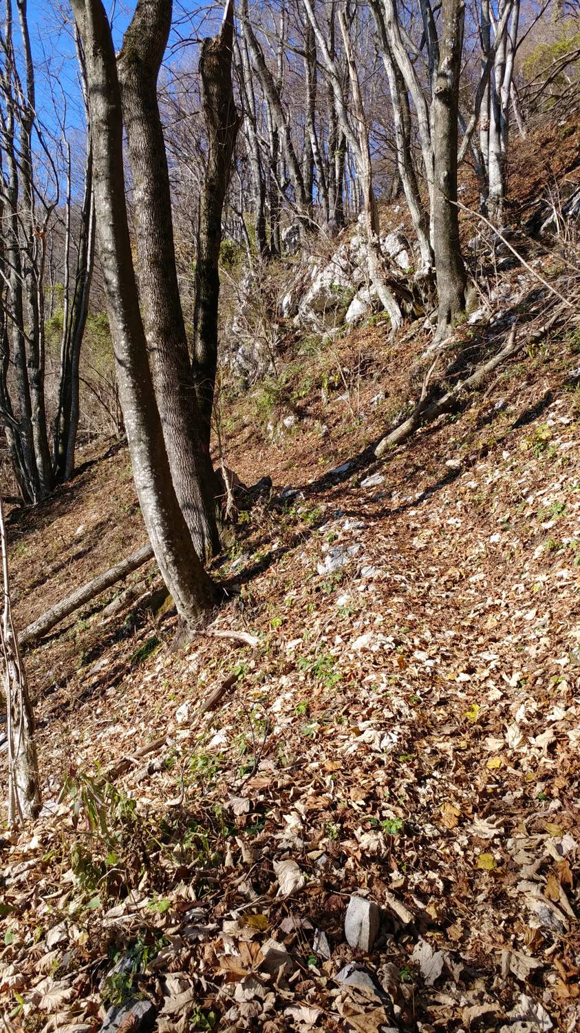 Dolje - Mrzli vrh slika 21