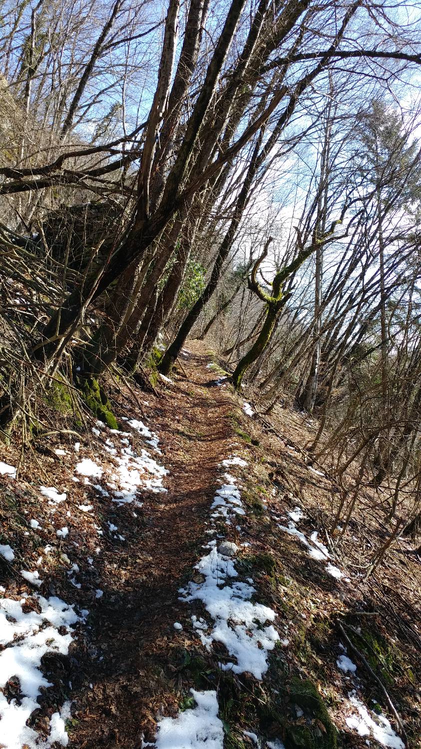 Parkirišče nad Žabčami - Meja slika 9