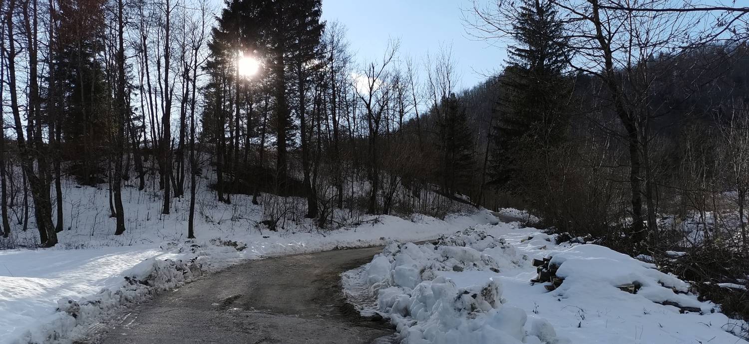 Breginj - Sveta Marija Snežna slika 12
