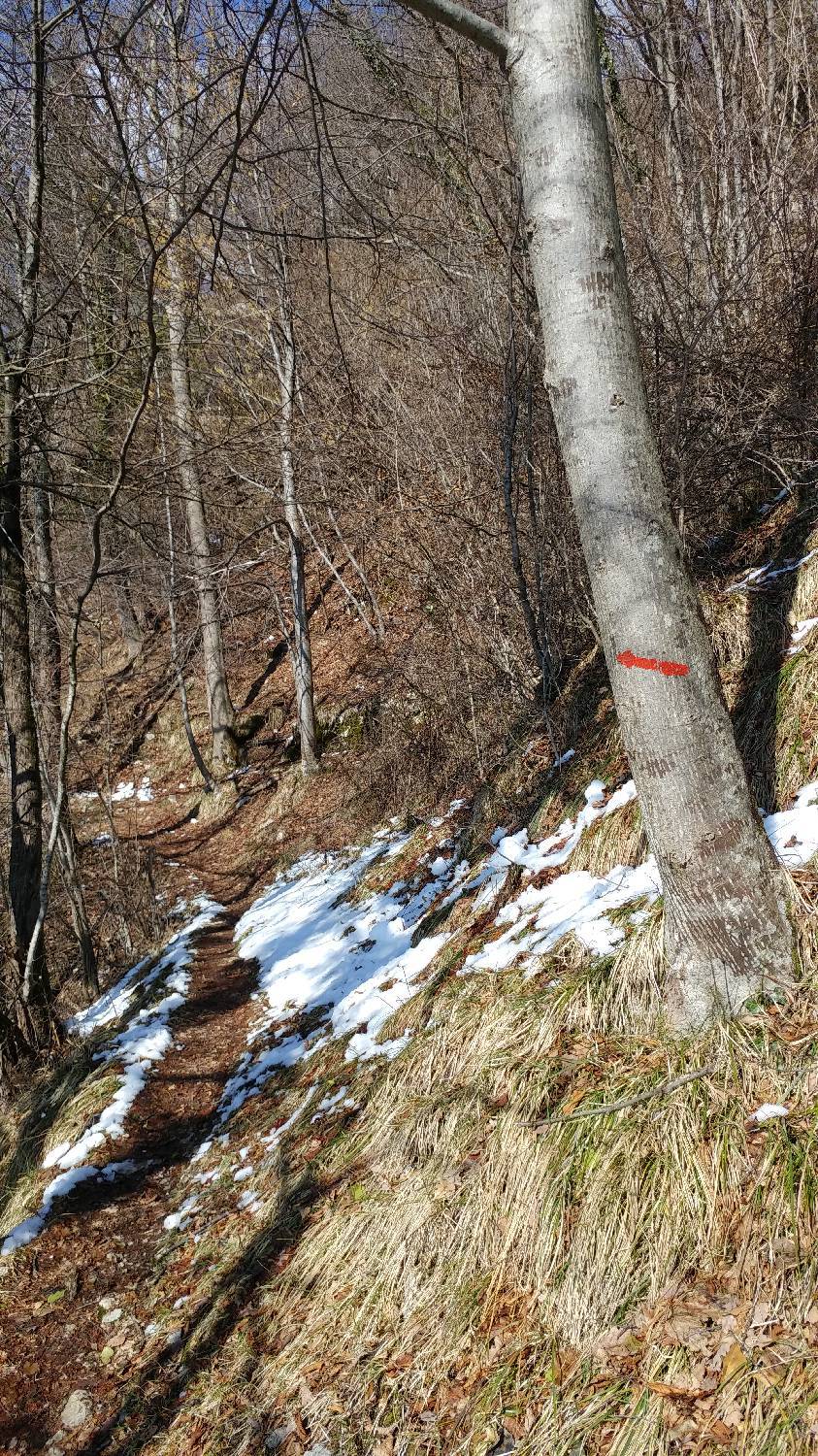 Parkirišče nad Žabčami - Planina Lom slika 10