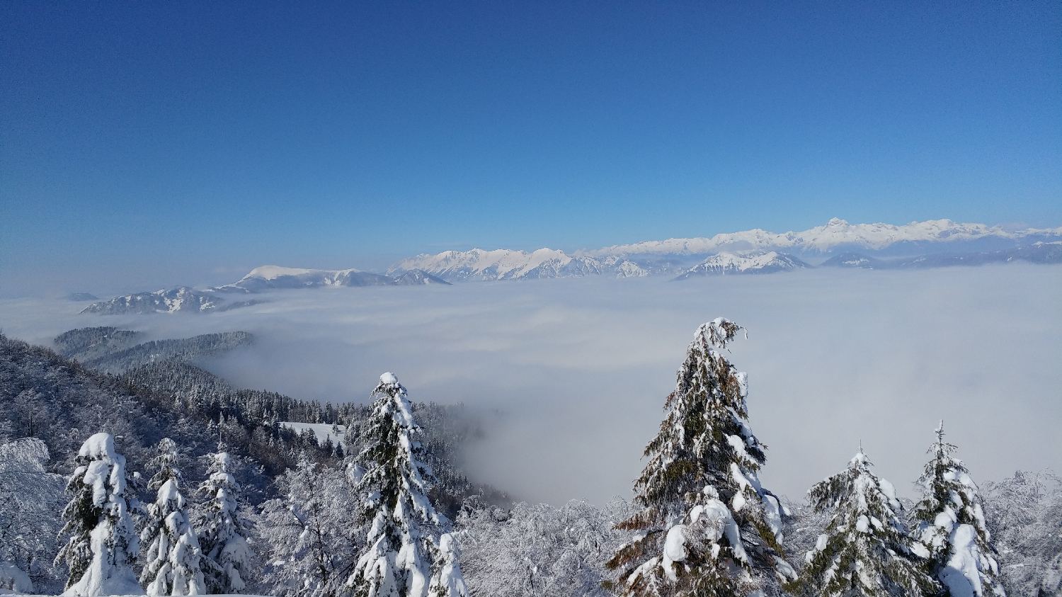Gabrje - Mrzli vrh slika 31