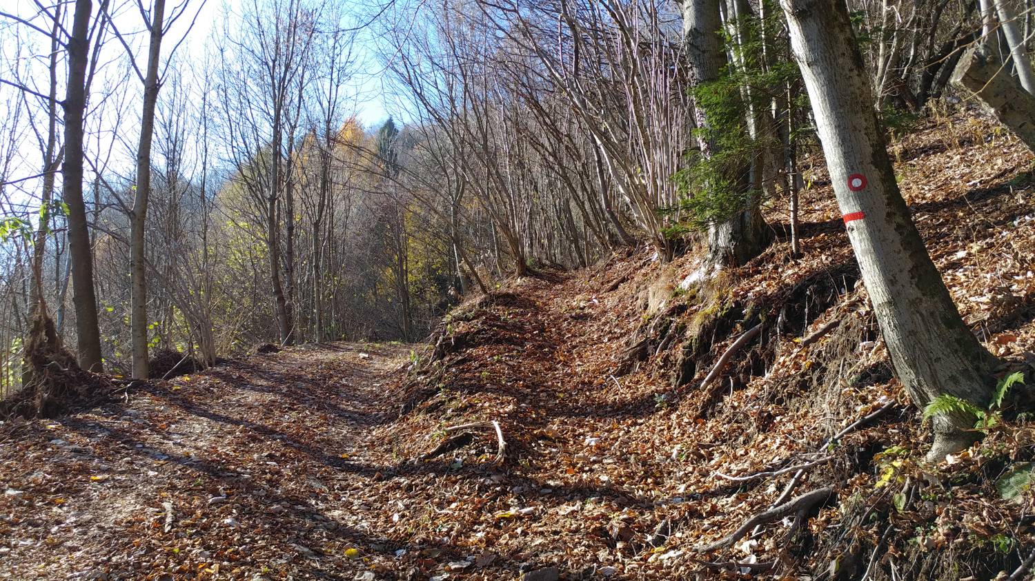 Dolje - Mrzli vrh slika 24