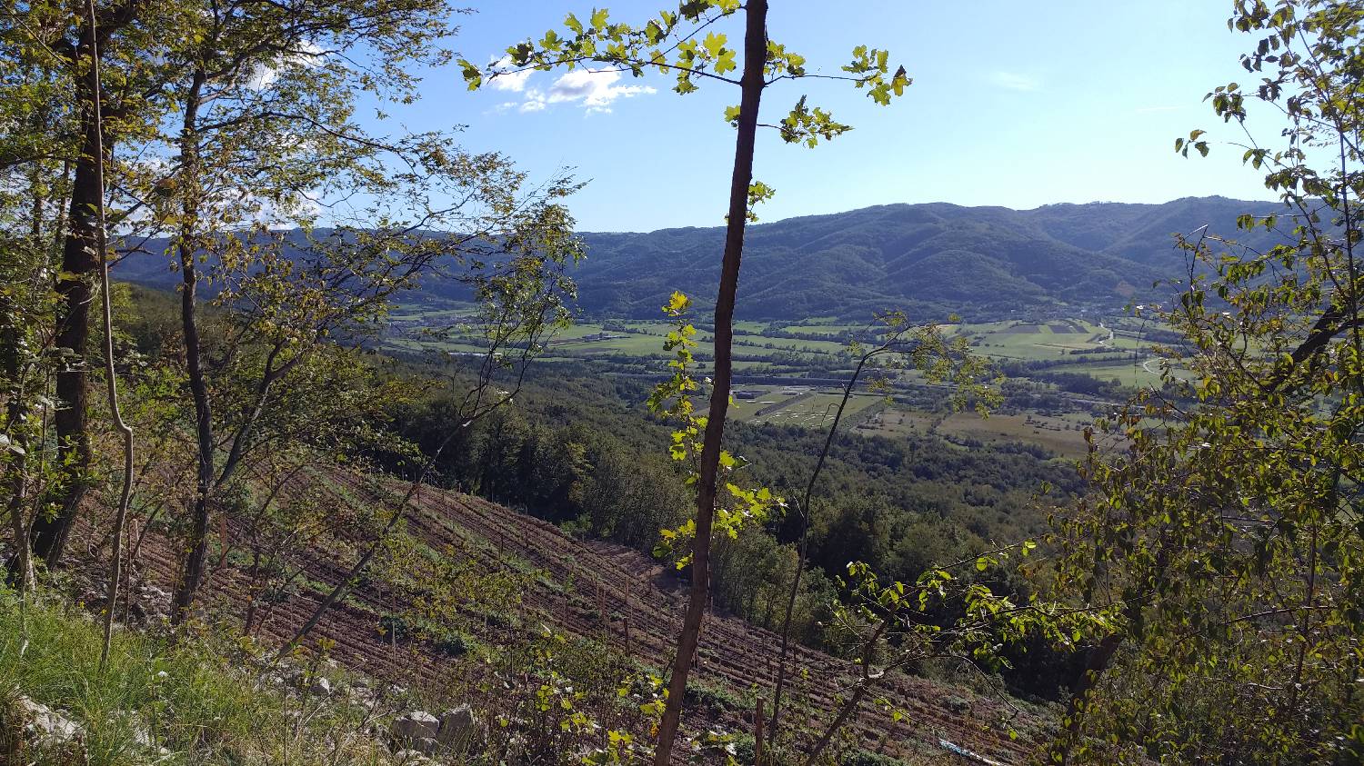 Gradišče pri Vipavi - Sv. Nikolaj slika 11