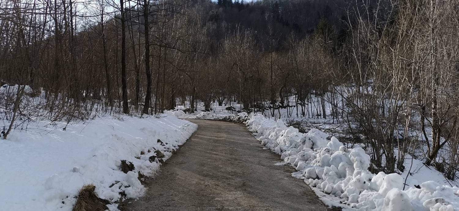 Breginj - Sveta Marija Snežna slika 14