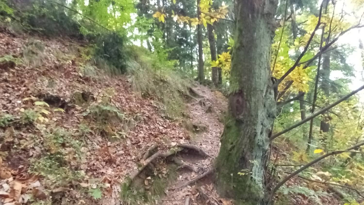Gabrje - Mrzli vrh slika 34