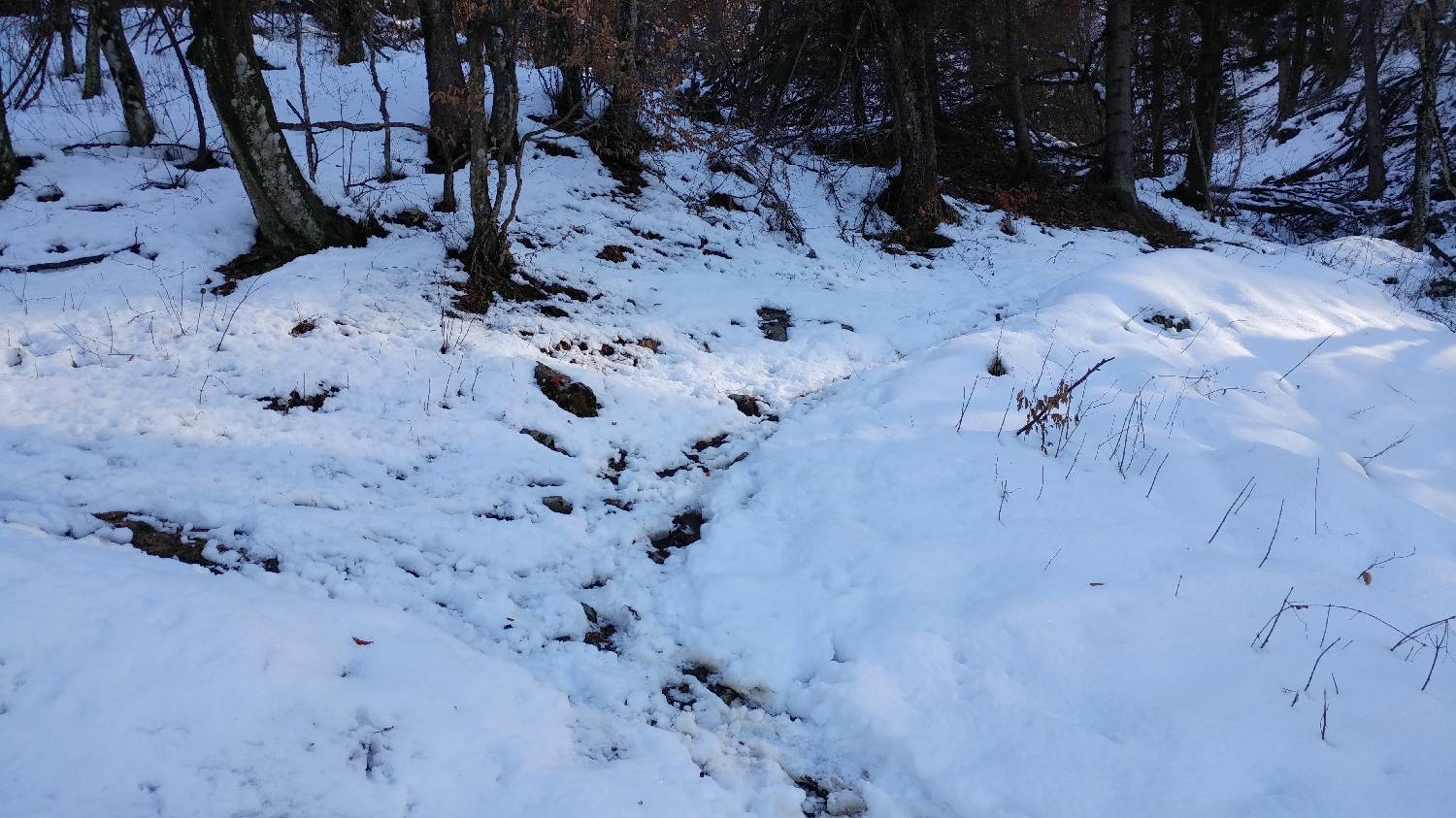 Parkirišče nad Žabčami - Meja slika 12