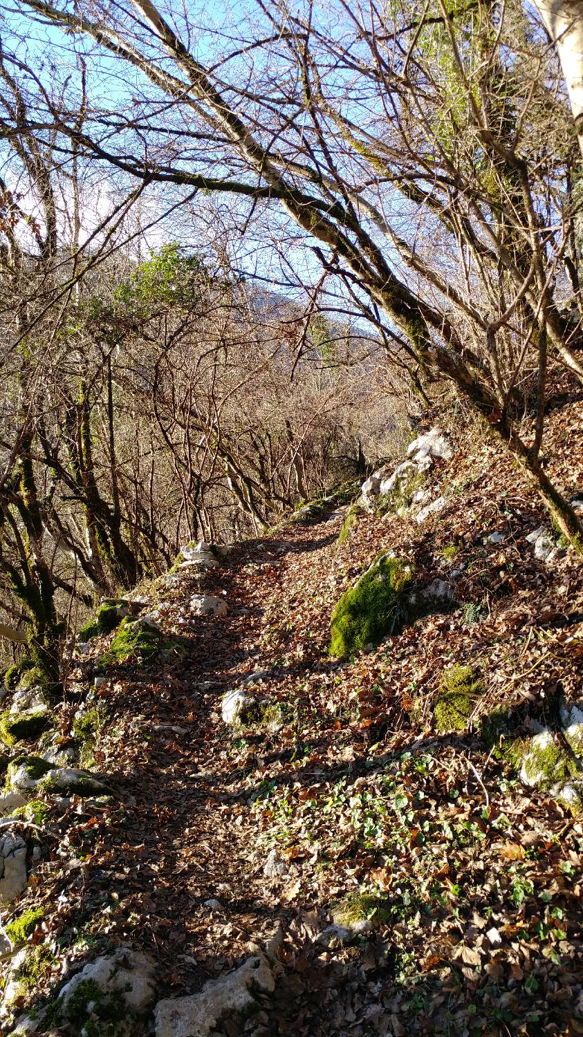 Okrepčevalnica Tolminska korita - Kobilnik slika 13