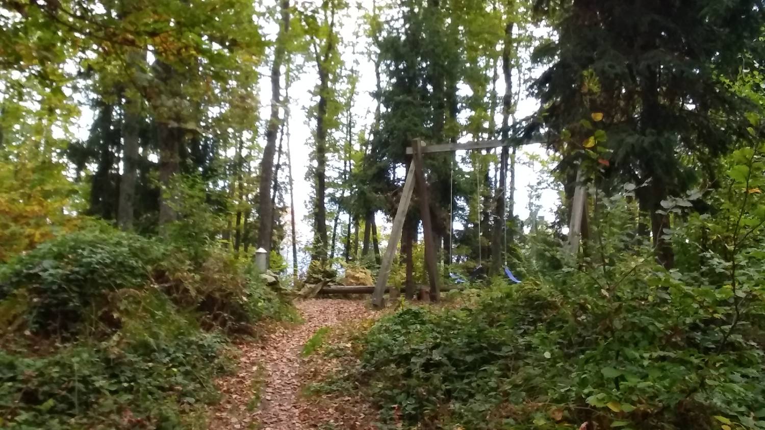 Gabrje - Mrzli vrh slika 35