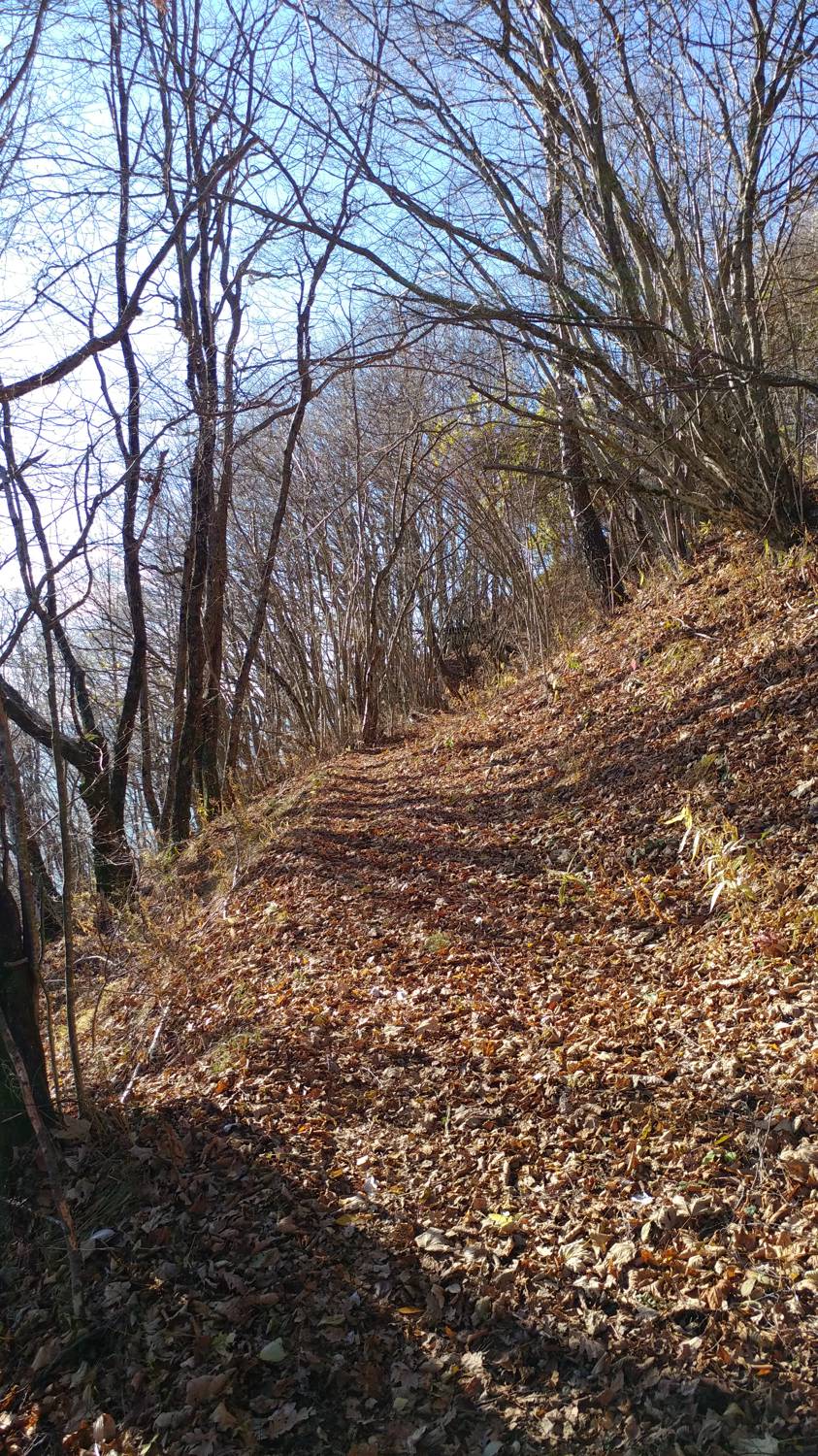 Dolje - Mrzli vrh slika 28