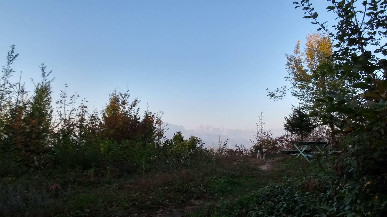 Bukovica pri Vodicah - Koseški hrib slika 20