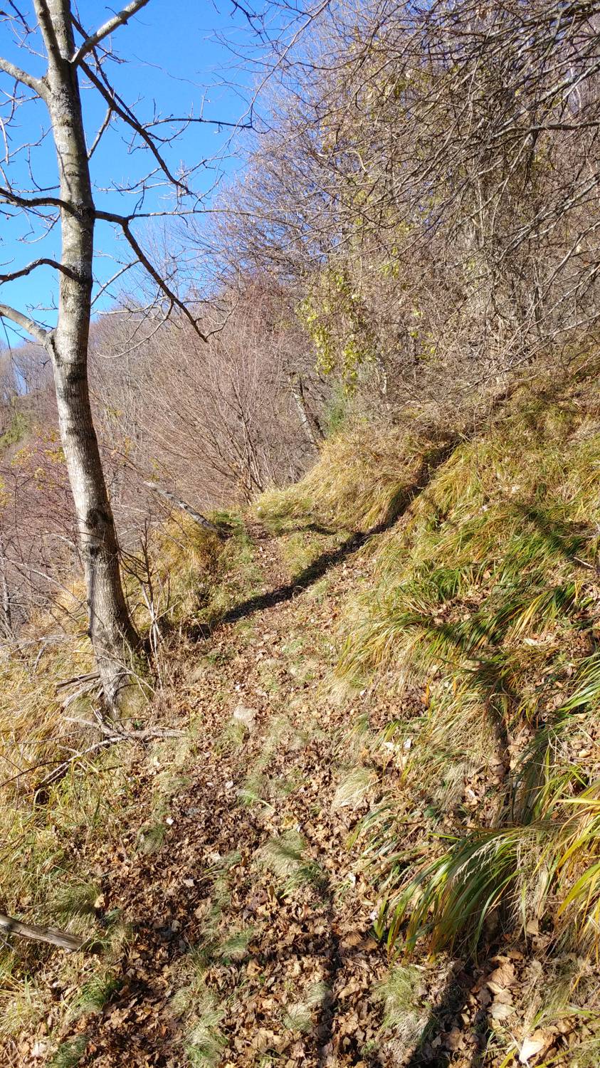 Dolje - Mrzli vrh slika 29