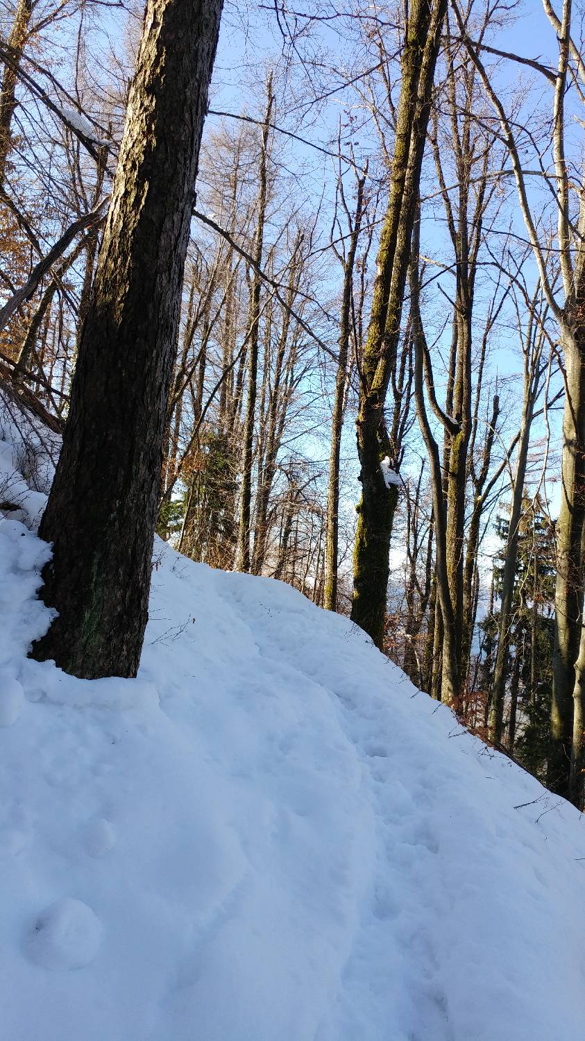 Parkirišče nad Žabčami - Vrh nad Škrbino slika 12