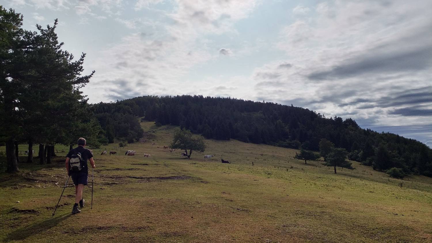 Cerknica - Planinski dom na Slivnici slika 2
