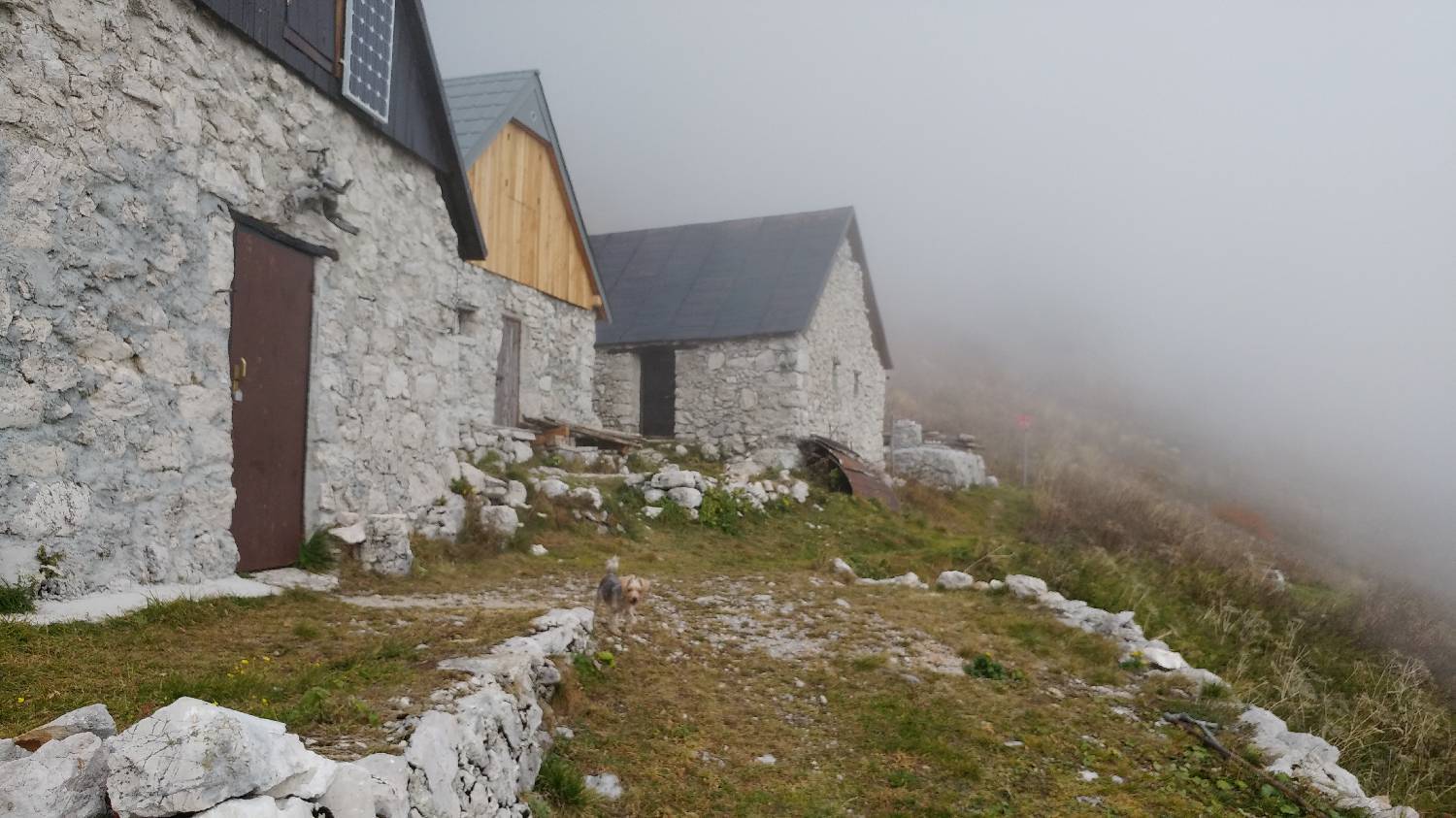 Čadrg - Tolminski Migovec slika 59