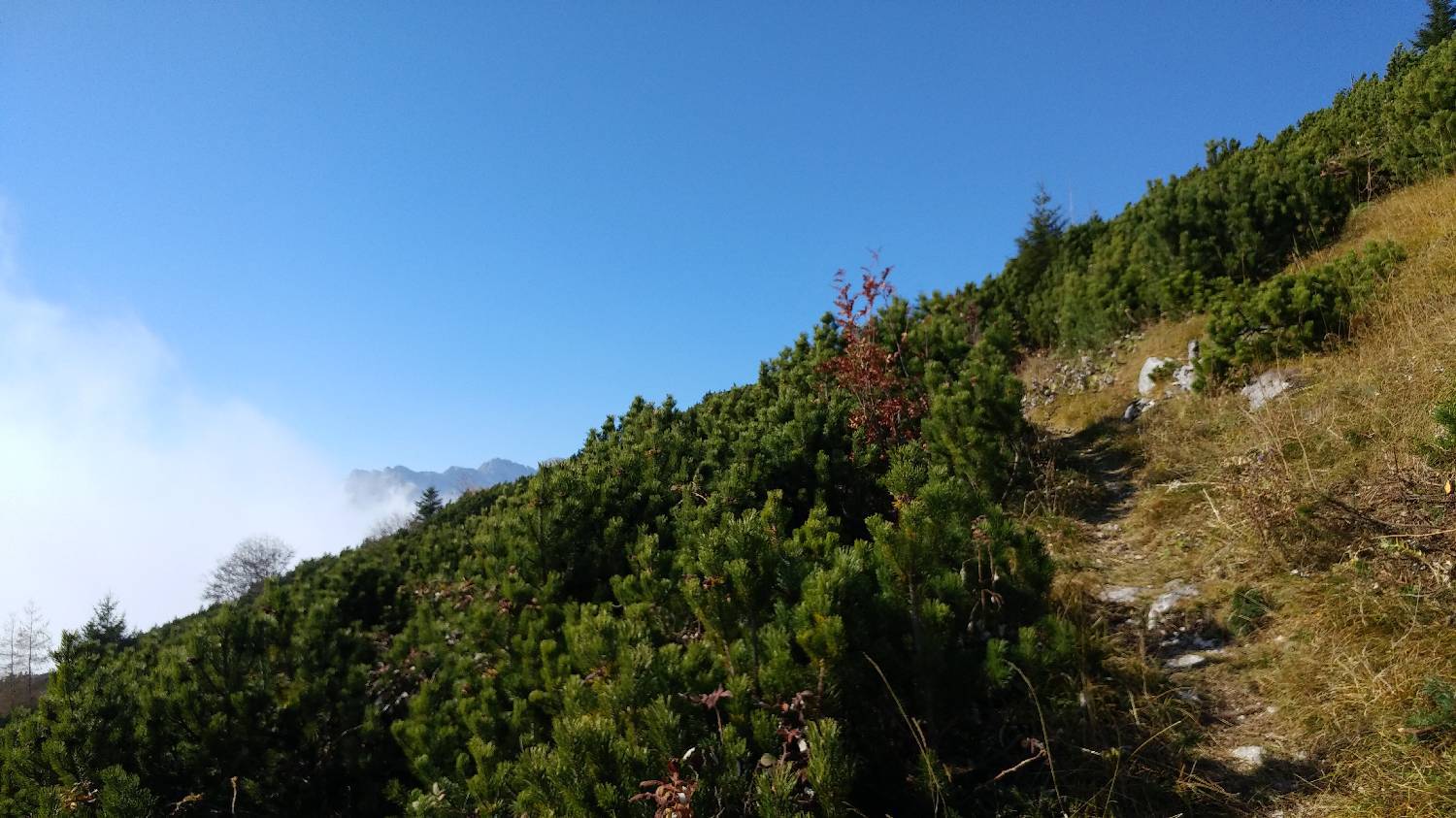 Čadrg - Tolminski Kuk slika 48