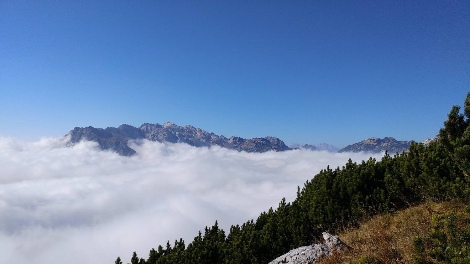 Čadrg - Tolminski Migovec slika 63