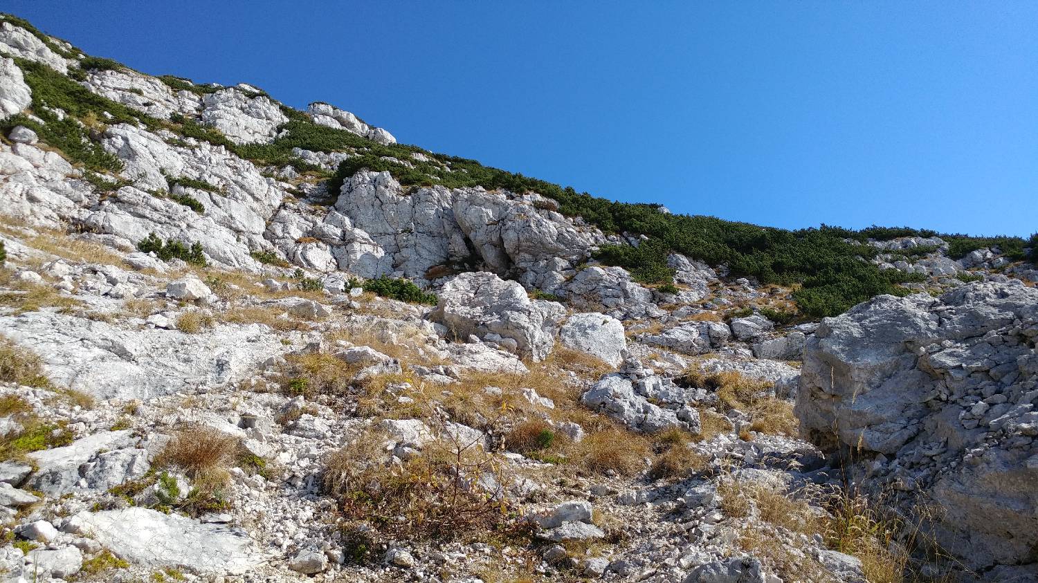Čadrg - Tolminski Kuk slika 51