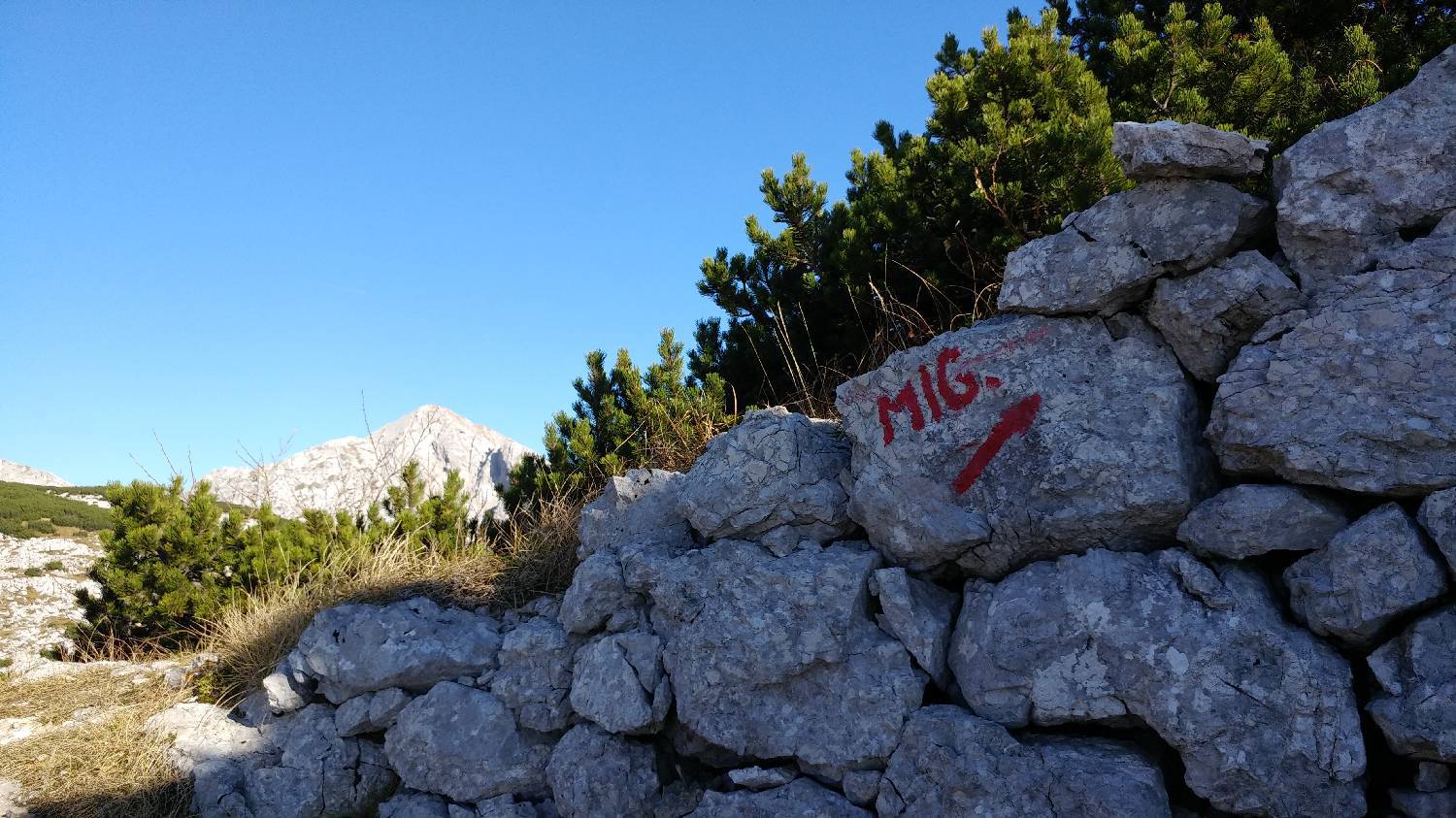 Čadrg - Tolminski Migovec slika 67
