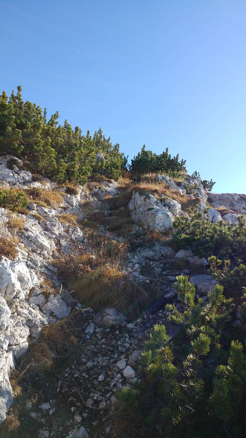 Čadrg - Tolminski Migovec slika 69