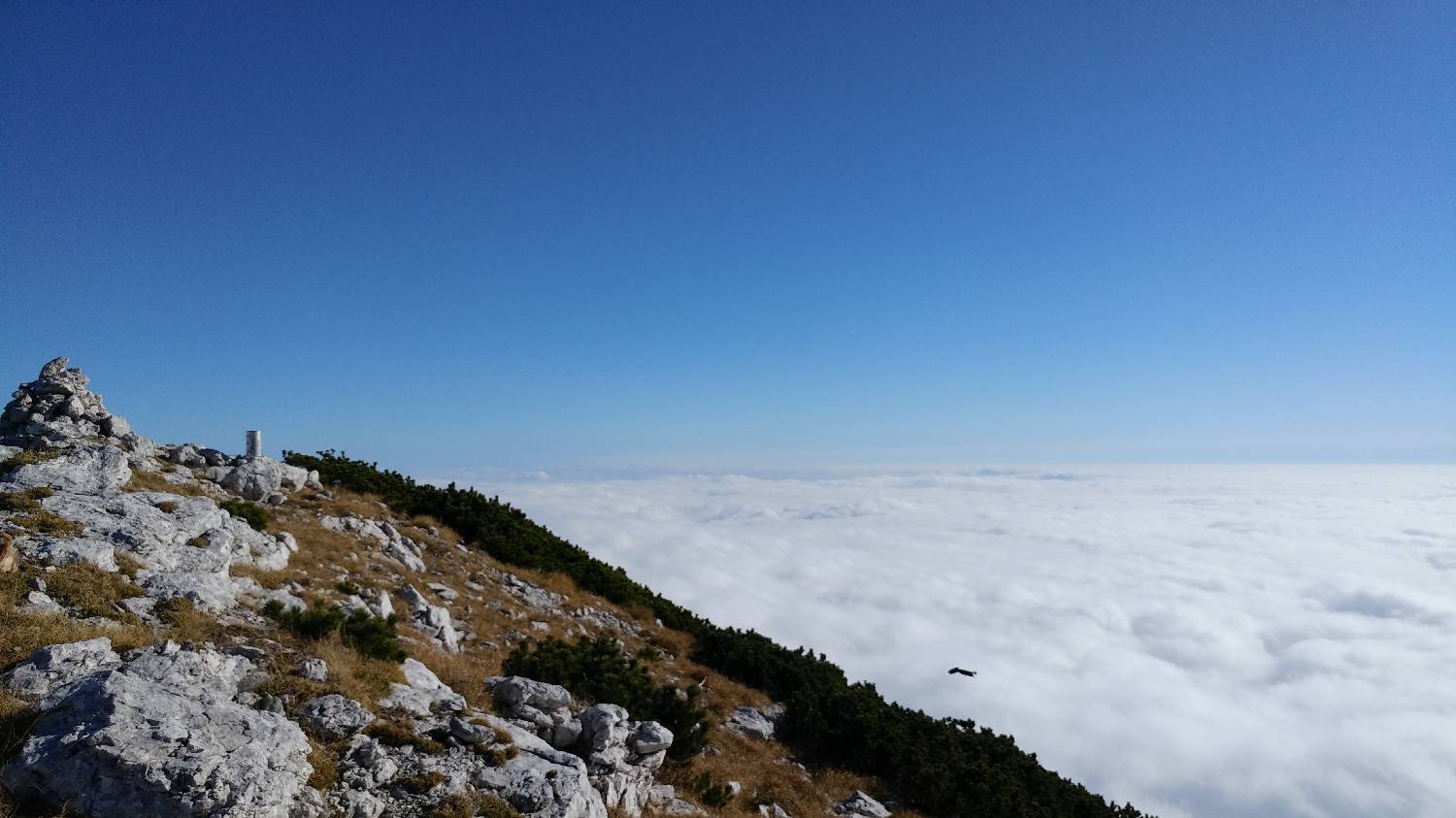 Čadrg - Tolminski Migovec slika 70