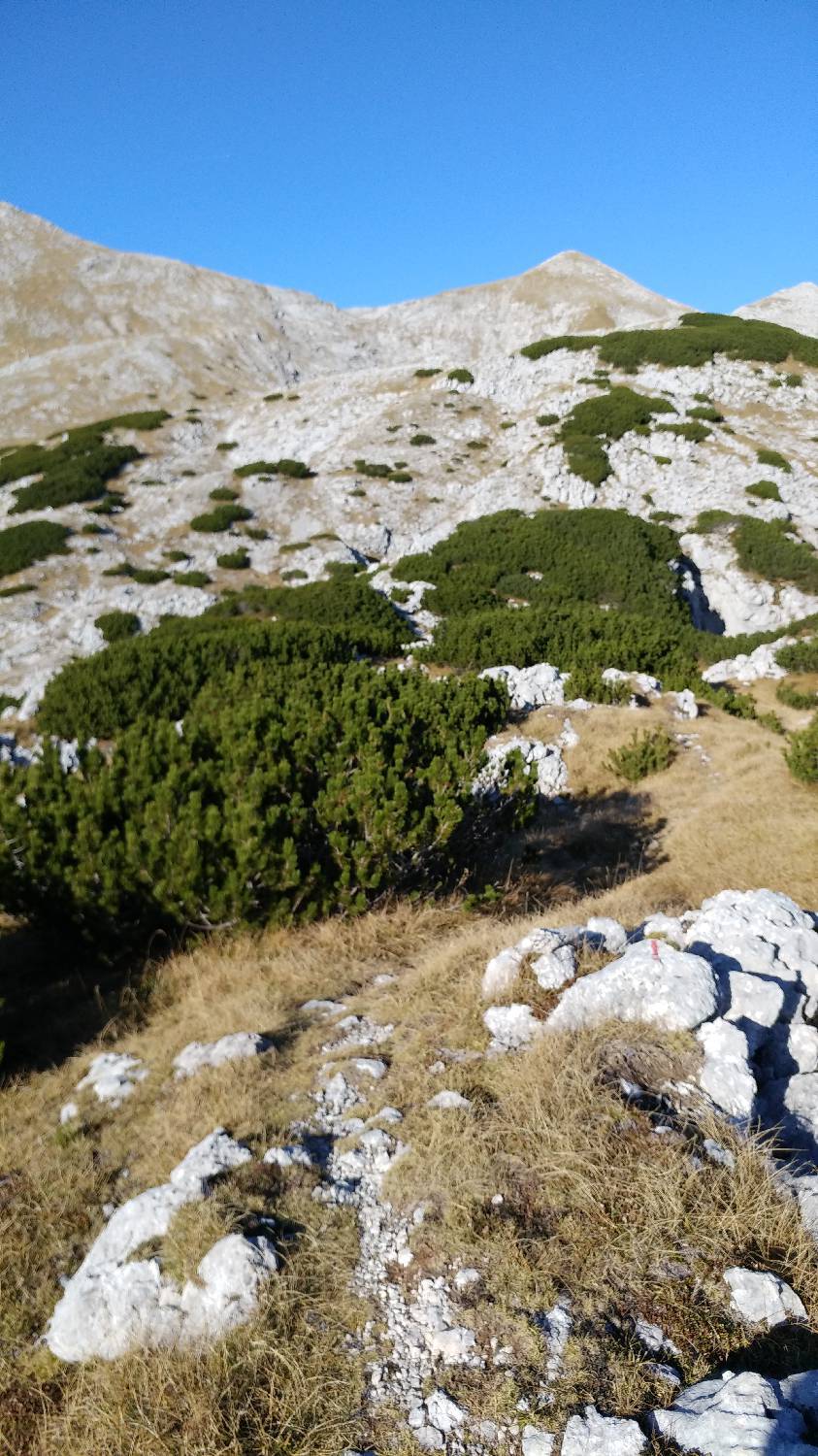 Čadrg - Tolminski Kuk slika 64