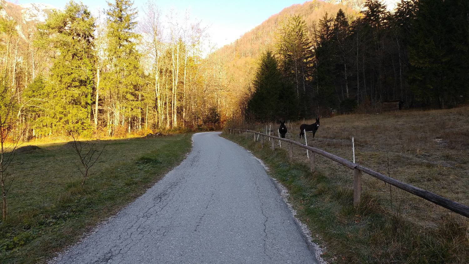 Dom v Kamniški Bistrici - Grintovec slika 3