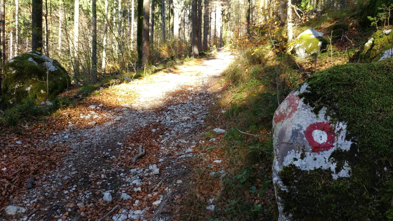 Dom v Kamniški Bistrici - Grintovec slika 4