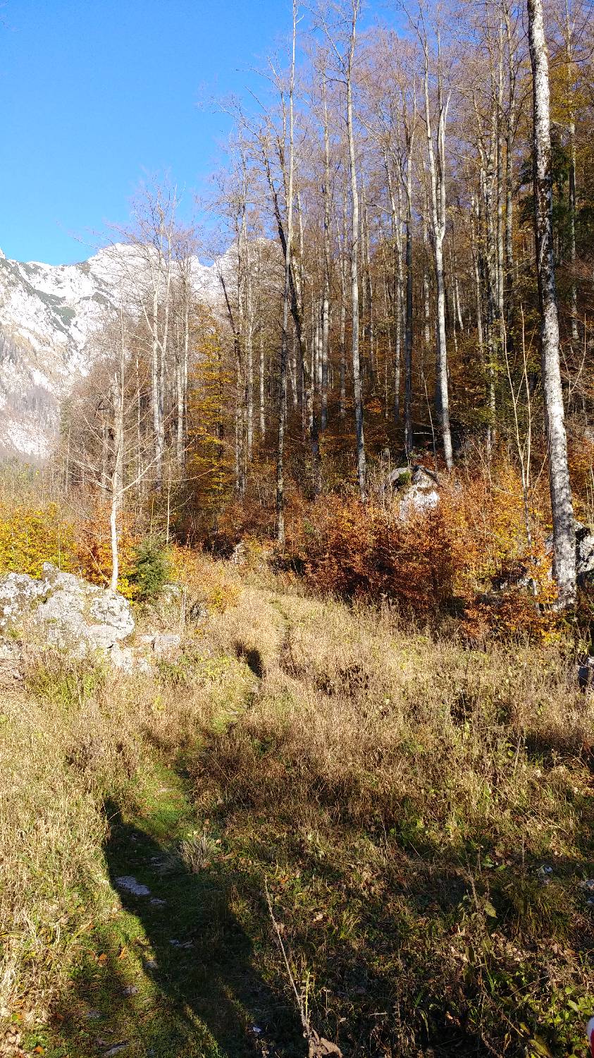 Dom v Kamniški Bistrici - Grintovec slika 5