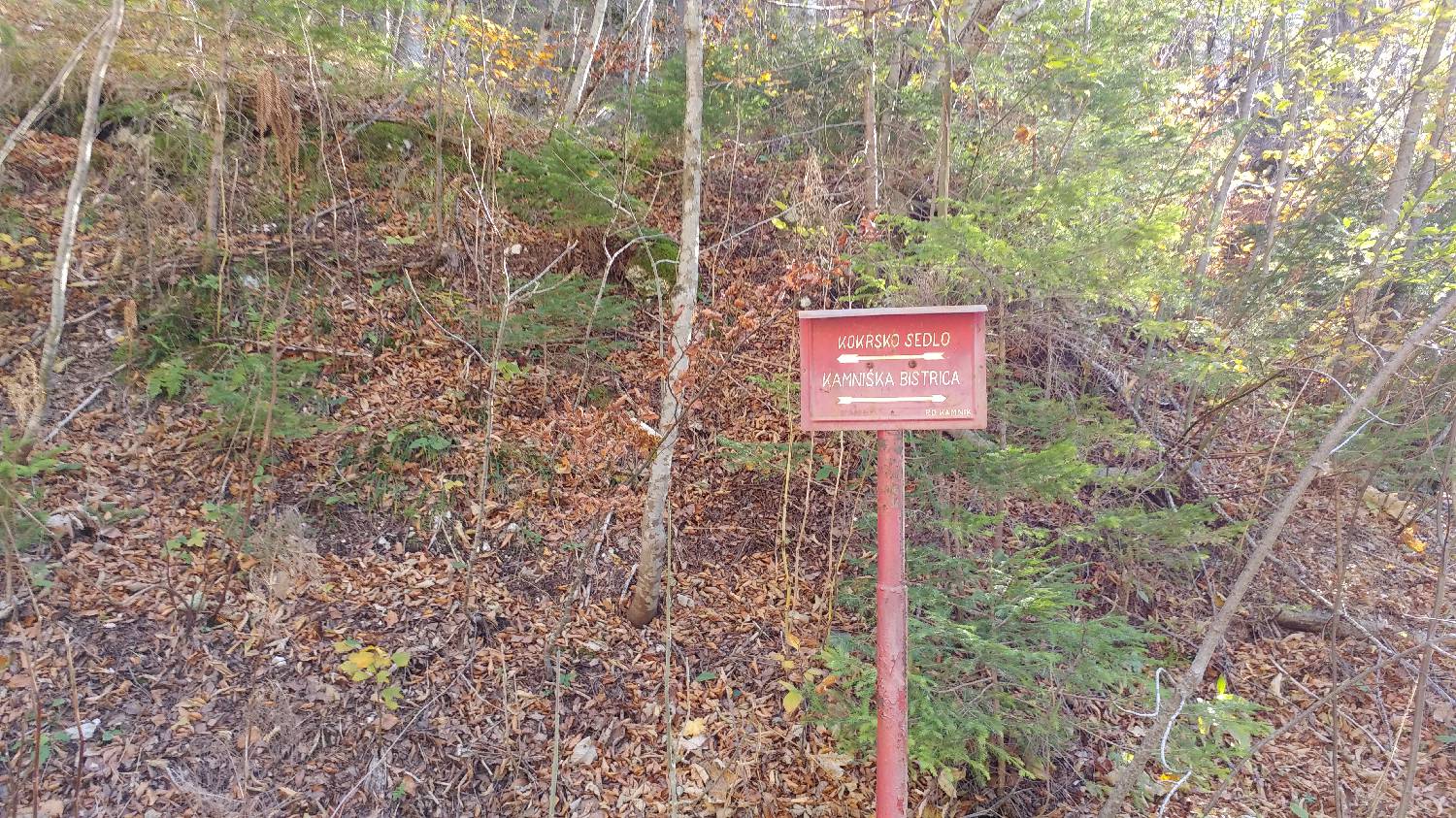 Dom v Kamniški Bistrici - Grintovec slika 7