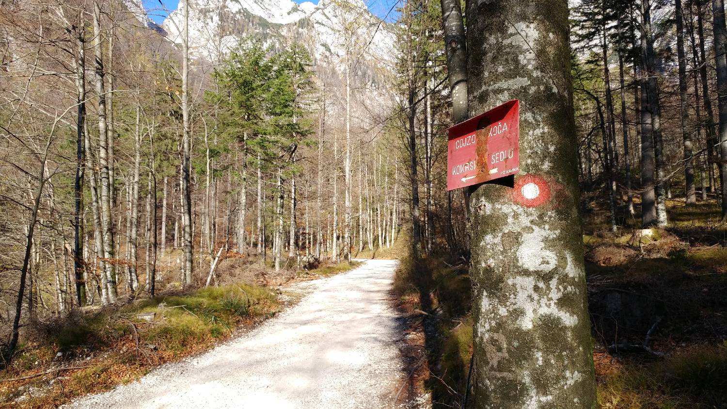 Dom v Kamniški Bistrici - Pri Pastirjih slika 11