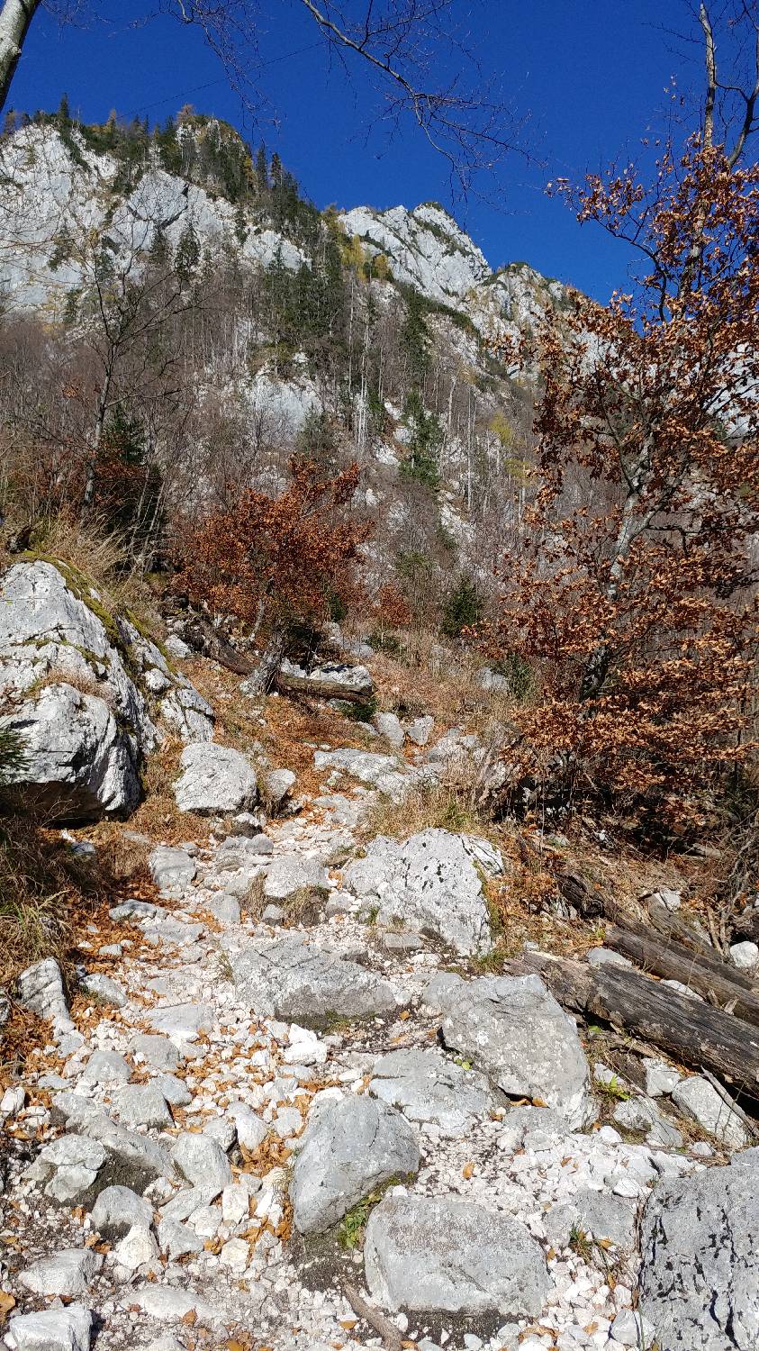 Dom v Kamniški Bistrici - Grintovec slika 10