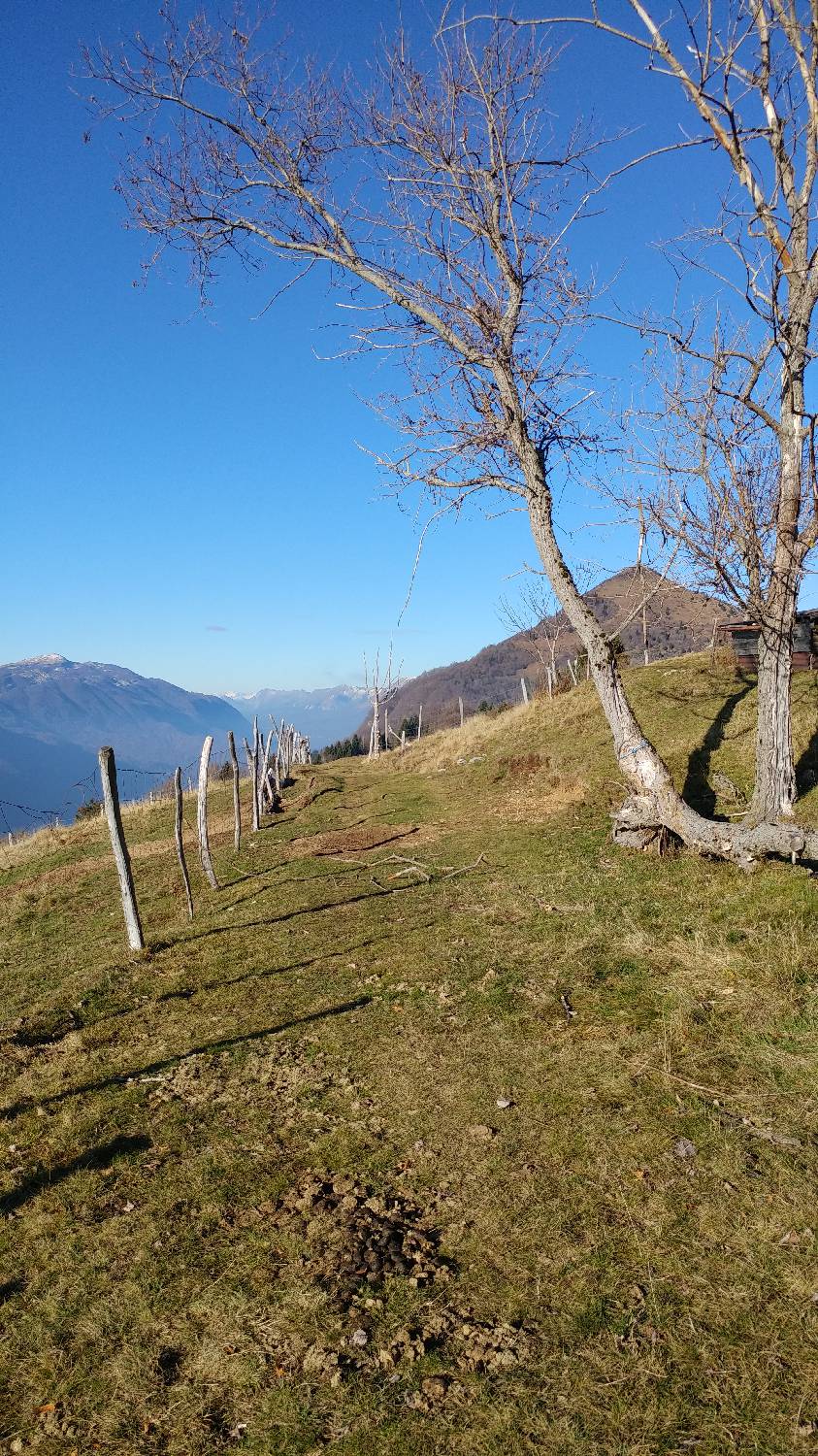 Cerkev Sv. Petra - Mrzli vrh slika 15