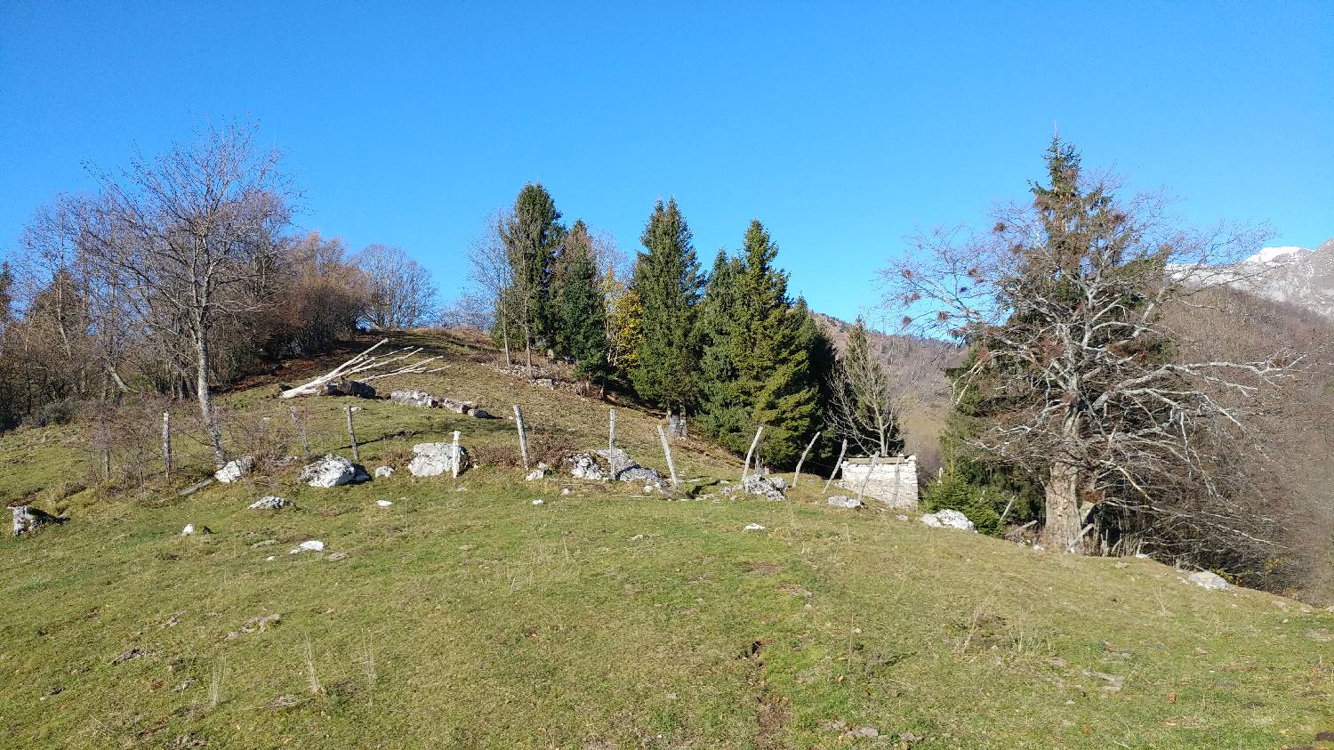Cerkev Sv. Petra - Mrzli vrh slika 18