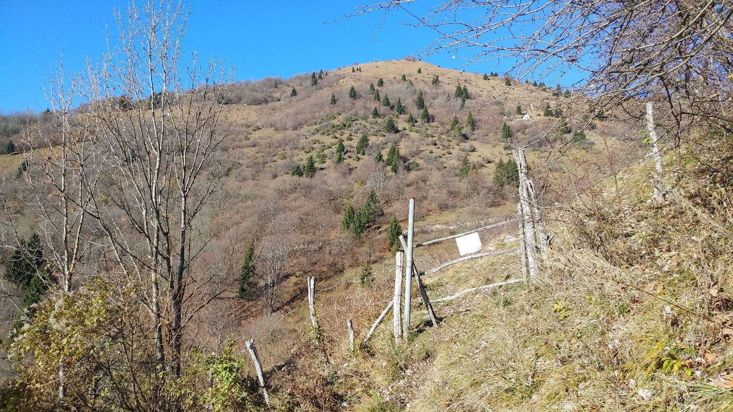 Cerkev Sv. Petra - Mrzli vrh slika 23