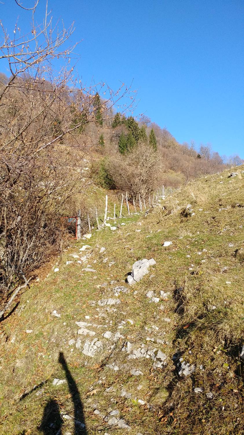 Cerkev Sv. Petra - Mrzli vrh slika 25