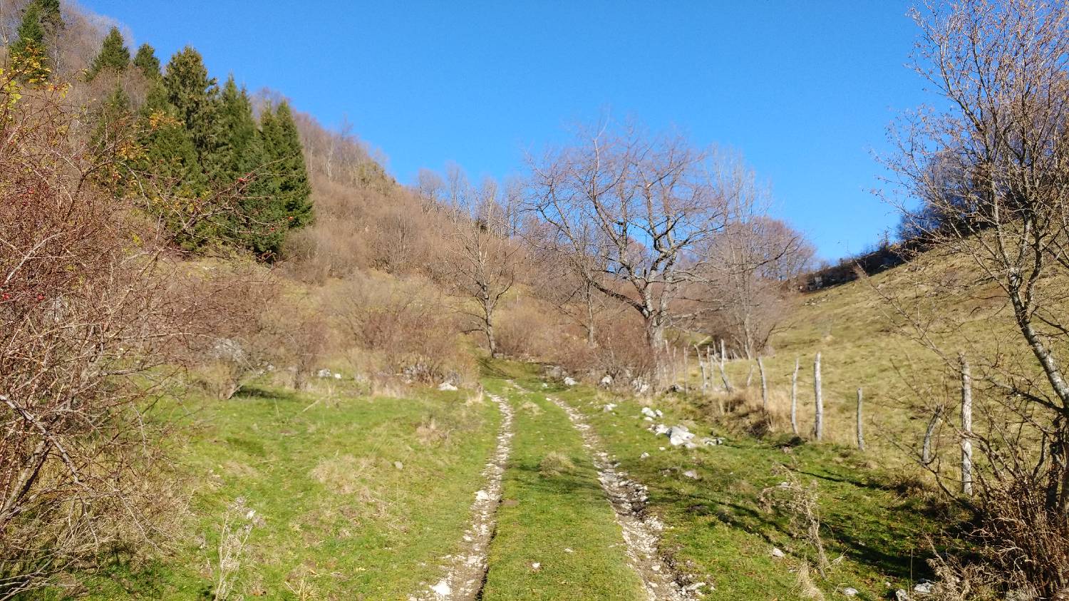 Cerkev Sv. Petra - Mrzli vrh slika 27