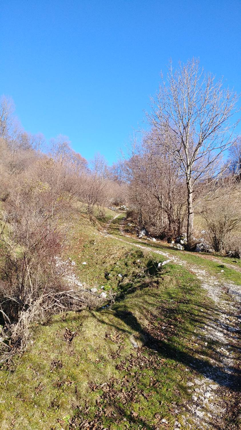 Cerkev Sv. Petra - Mrzli vrh slika 28